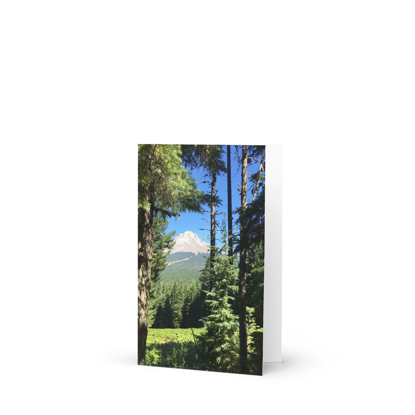 Mountain Trees - Greeting card