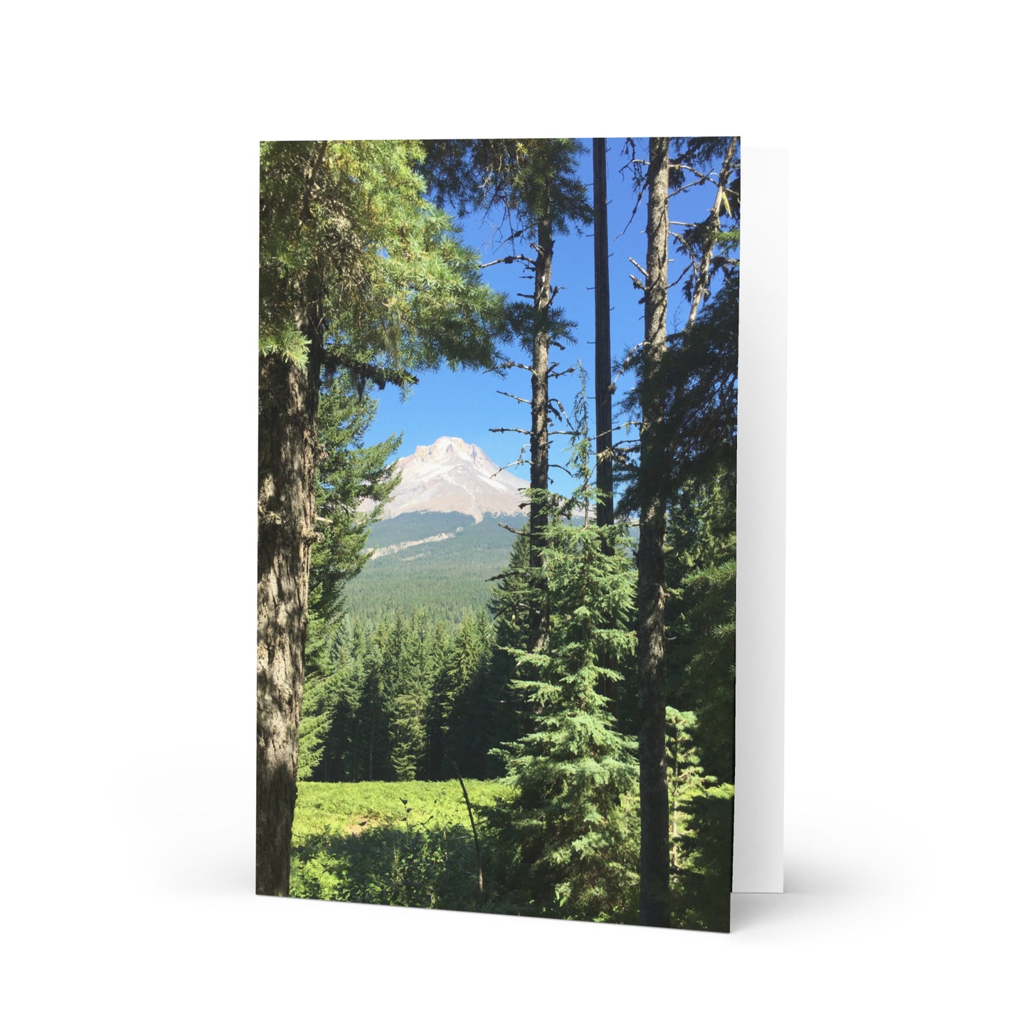 Mountain Trees - Greeting card