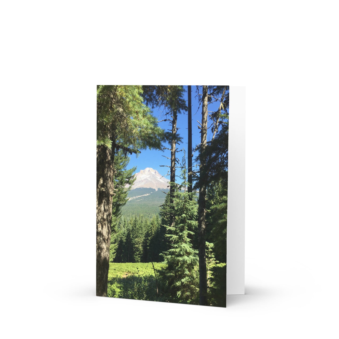 Mountain Trees - Greeting card